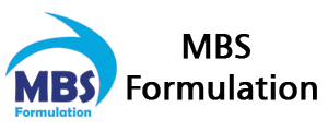 MBS Formulation
