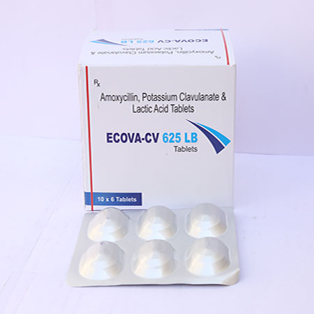 Product Name: Ecova CV 625 LB, Compositions of Ecova CV 625 LB are Amoxycillin and Potassium Clavulanate Lactic Acid Tablets - Eviza Biotech Pvt. Ltd