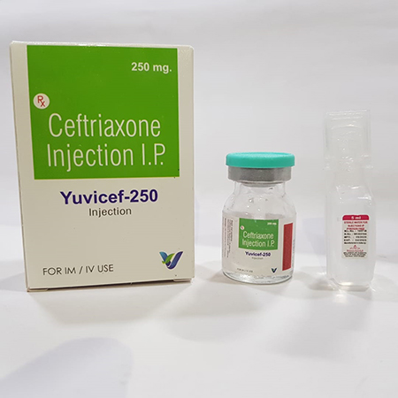 Product Name: Yuvicef 250, Compositions of Yuvicef 250 are Ceftriaxone Injection IP - Vindcare Lifesciences