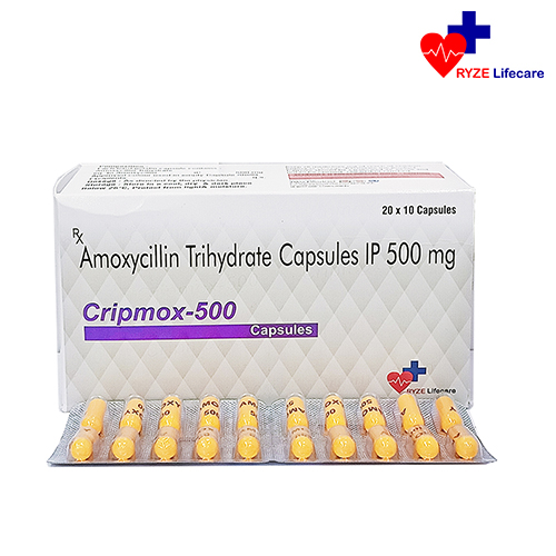 Product Name: Cripmox 500 Tablets , Compositions of Cripmox 500 Tablets  are Amoxycillin, Trihydrate capsules IP 500 mg - Ryze Lifecare