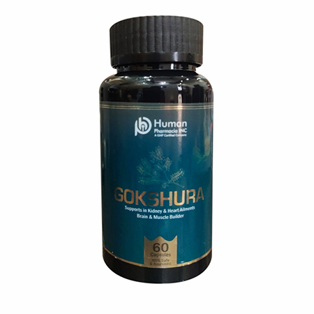 Product Name: Gokshura, Compositions of  are  - Human Pharmacia Inc