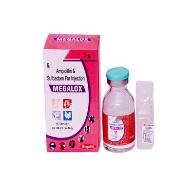 Product Name: MEGALOX, Compositions of MEGALOX are Ampocillin Sulbactart For injection - ISKON REMEDIES