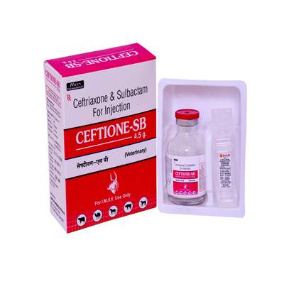 Product Name: CEFTIONE SB, Compositions of CEFTIONE SB are Ceftriaxone & Sulbactam For injection - ISKON REMEDIES