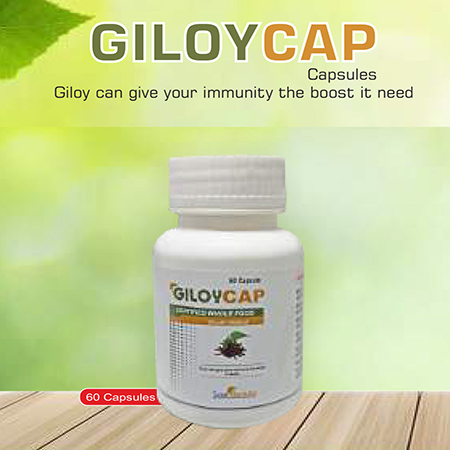 Product Name: Giloycap, Compositions of Giloycap are Giloy Cangive your Immunity The boost it need - Scothuman Lifesciences