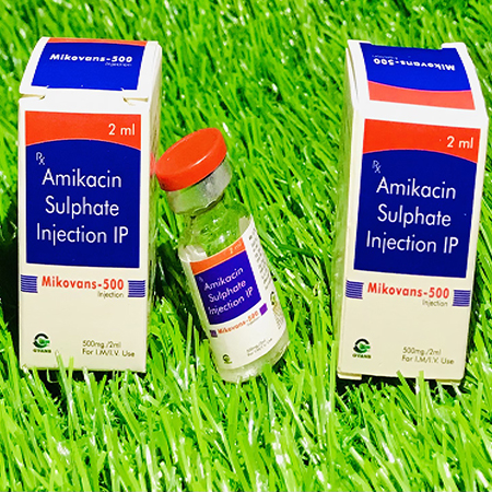 Product Name: Mikovans 500, Compositions of Mikovans 500 are Amikacin Sulphate Injection IP - Gvans Biotech Pvt. Ltd