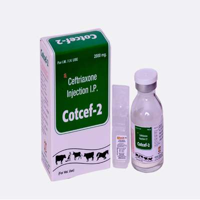 Product Name: Cotcef 2, Compositions of Cotcef 2 are Ceftriaxone For injection - ISKON REMEDIES